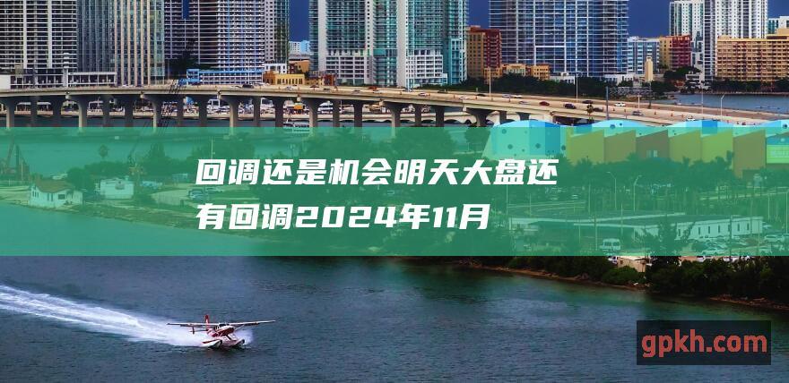 回调还是机会 明天大盘还有回调 2024年11月11日博主看市精选