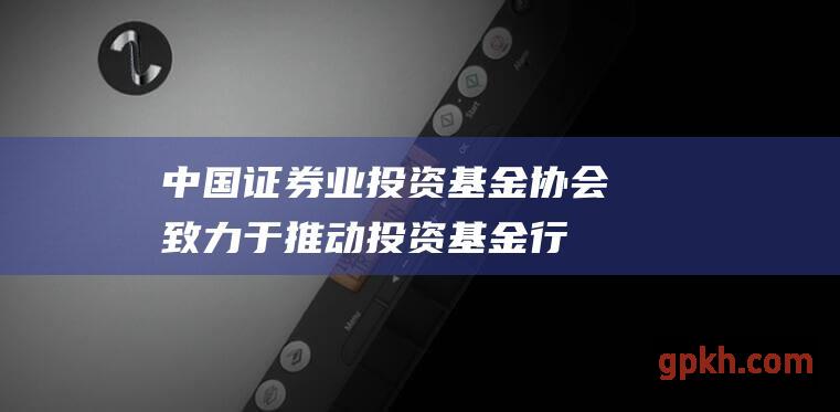 中国业投资协会致力于推动投资行