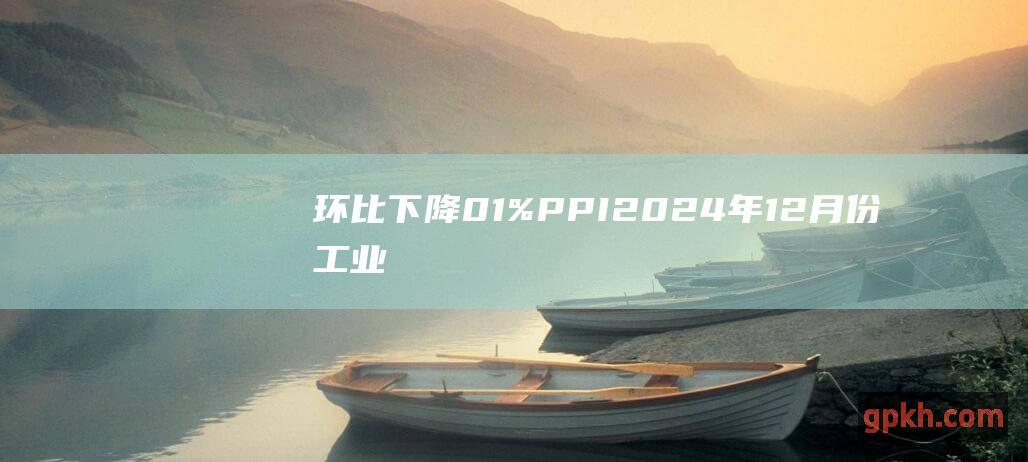 环比下降01%PPI2024年12月份工业