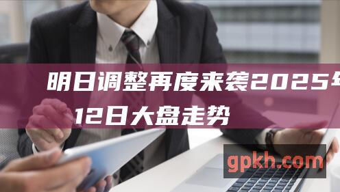 明日 调整再度来袭 2025年2月12日 大盘走势预测